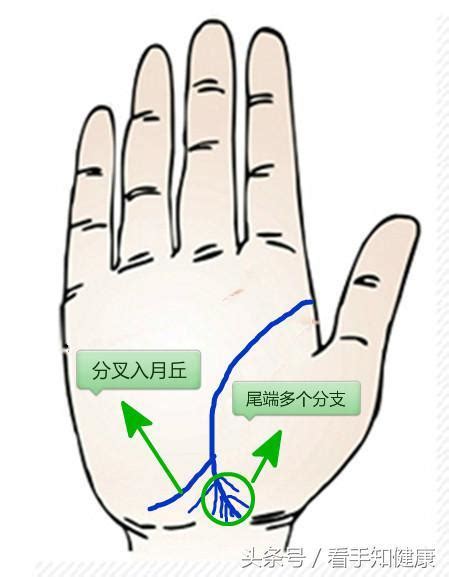 生命線下面多一條|生命線 (手相學):早期說法,圖解,相法,相關,